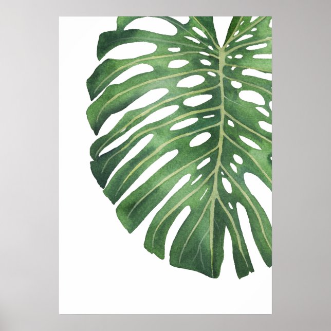 Poster Monstera Leaf 6 (Frente)