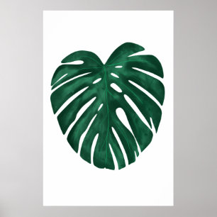 Poster Monstera Leaf Tropical Plant