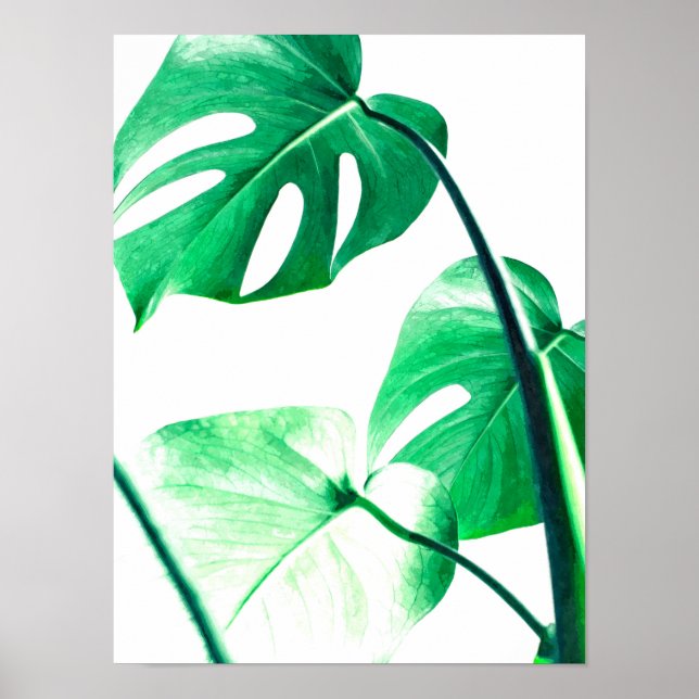 Póster Monstera Palm deixa aquarela tropical moderna (Frente)