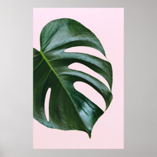 Poster Monstera Tropical Leaf