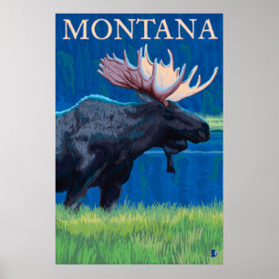 Póster Montana - alce