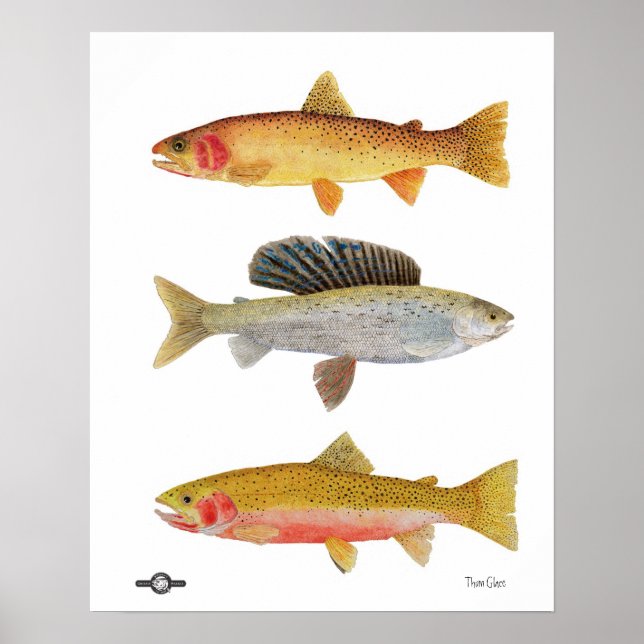 Póster Montana Beauties (Frente)