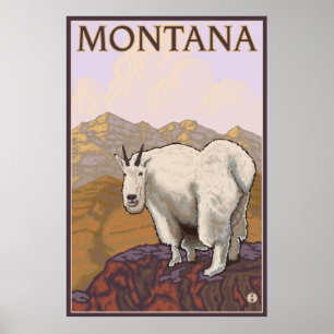 Poster Montana - Mountain Goat