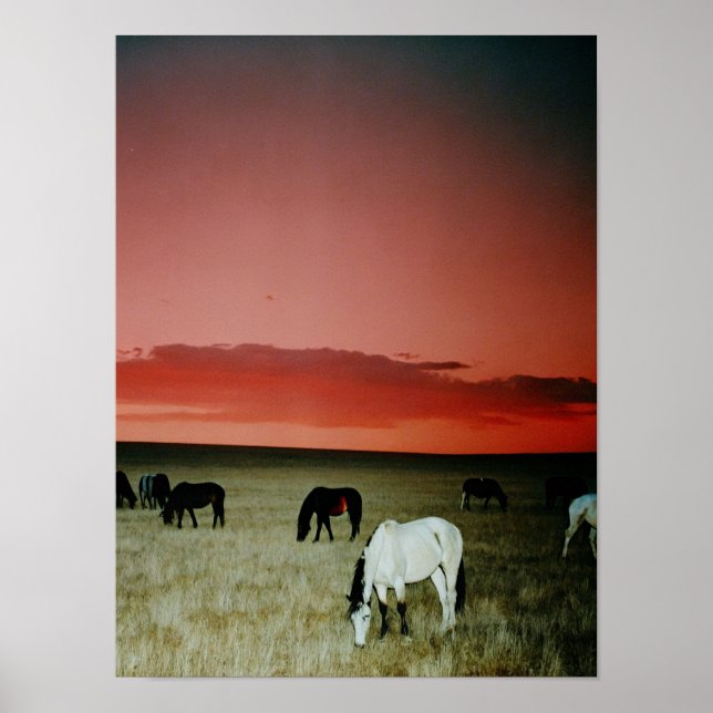 Poster Montana Sunset (Frente)