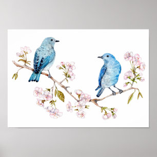 Póster Montanha Bluebird na Seção Sakura