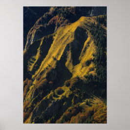 Poster Montanha coberta de grama no outono