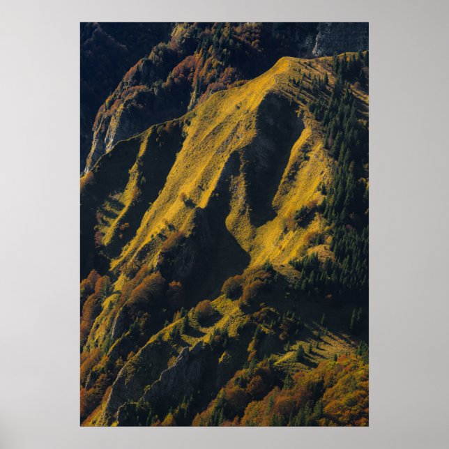 Poster Montanha coberta de grama no outono (Frente)