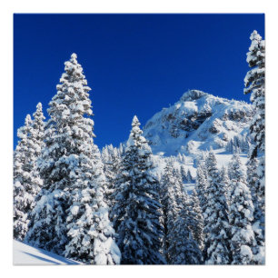 Póster Montanha da neve