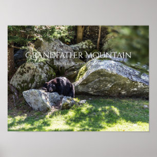 Poster Montanha do Avô