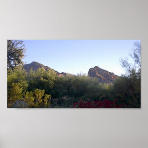 Póster Montanha do Camelback