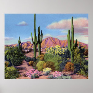 Póster Montanha do Camelback da arizona de Phoenix