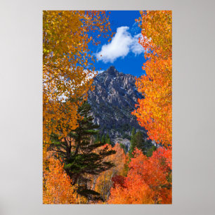 Póster Montanha emoldurada na folhagem de outono, CA