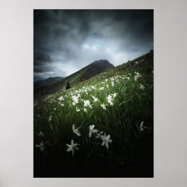 Poster Montanha Golica e flores Narciso