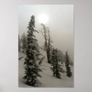 Póster Montanha nevado e árvores