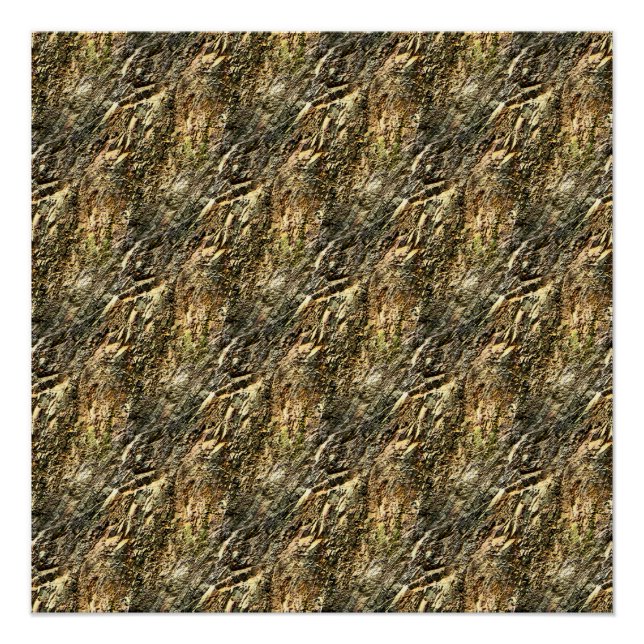 Póster Montanha Ripplin... (Frente)