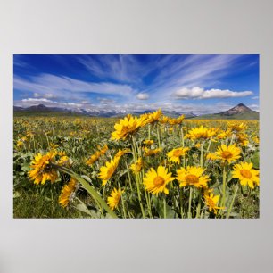 Póster Montanha Rochosa