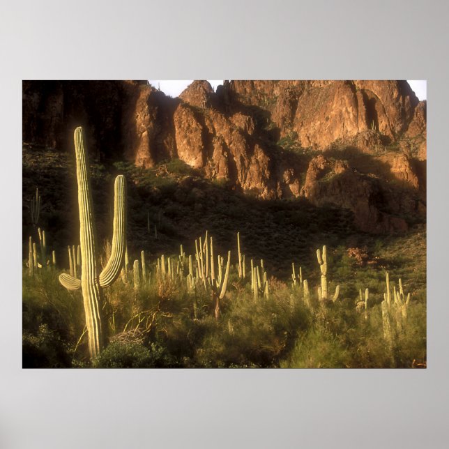 Póster Montanha Superstição (Frente)