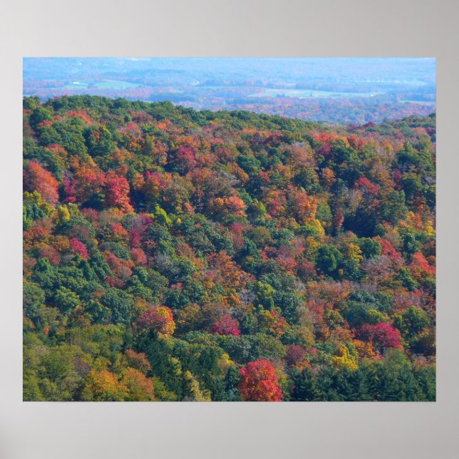 Poster Montanhas Appalachian em queda (Frente)