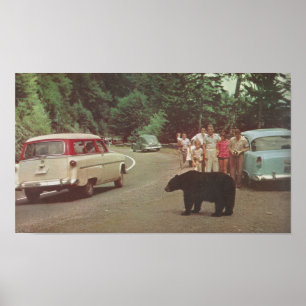 Poster Montanhas do Enfumaçado da Carolina do Norte