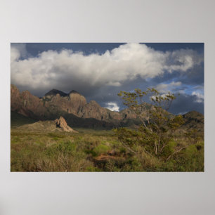 Póster Montanhas do órgão após a tempestade