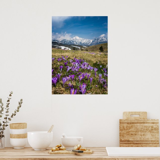 Poster Montanhas e flores de crocus em Velika Planina, ES (Cozinha)