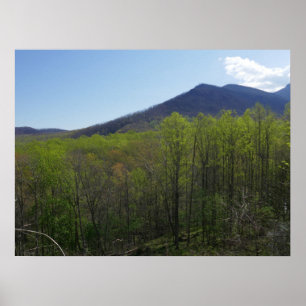 Poster Montanhas Enfumaçados em Primavera