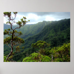 Poster Montanhas havaianas de Koolau