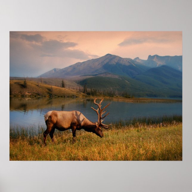 Poster Montanhas | Jacques Mountain Range Alberta Canadá (Frente)