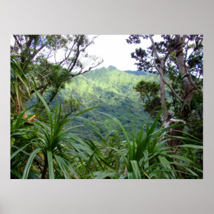 Poster Montanhas Koolau acima de Manoa Valley, O'ahu