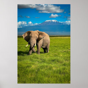 Poster Montanhas Monte Kilimanjaro Tanzânia, África