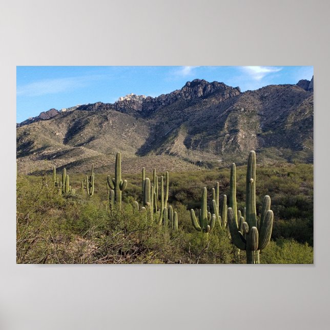 Poster Montanhas Saguaro Cactus e Catalina, Tucson AZ (Frente)