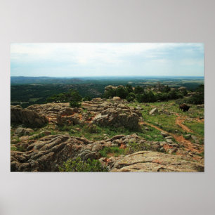 Poster Montanhas Vista de Wichita com bisonte americano