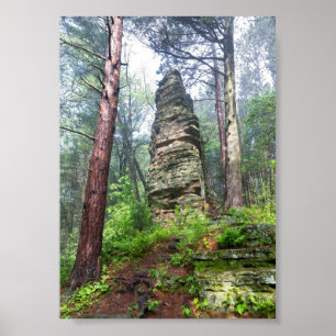 Poster Monte Castelado na Floresta Estadual