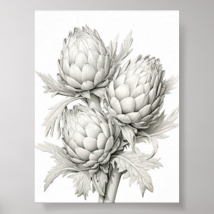 POSTER MONTE DE ARTICHOKES