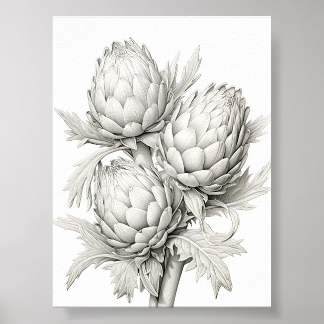 POSTER MONTE DE ARTICHOKES (Frente)