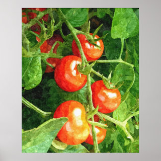 Póster Monte de Tomates