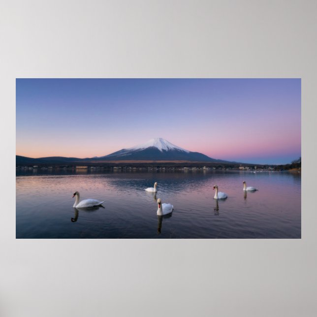 Poster Monte Fuji | Lago Yamanaka com Cisnes (Frente)