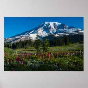 Póster Monte Rainer wilflower