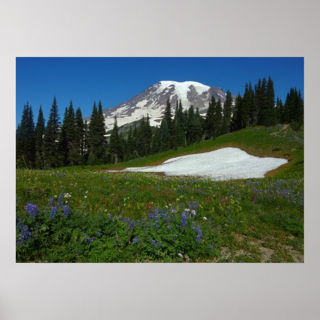 Poster Monte Rainier, Flores Silvestres e Neve (Frente)