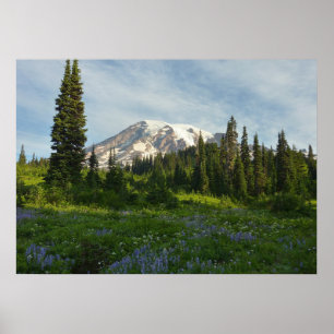 Poster Monte Rainier Morning Light