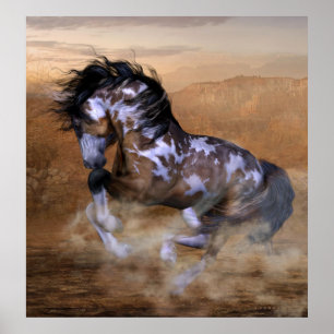 Póster Monte um pônei pintado