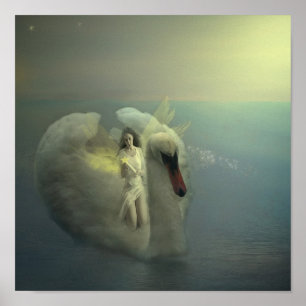 Póster Monte uma cisne branca