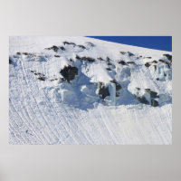 Monte Washington Tuckermans Ravine Skiier