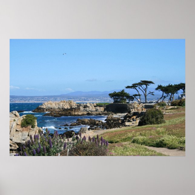 Poster Monterey Bay Coastline, Primavera Foto (Frente)