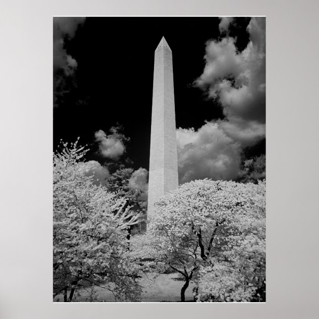Póster Monumento a Washington (Frente)