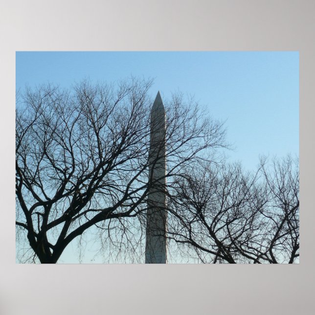 Póster Monumento a Washington na paisagem do inverno I (Frente)