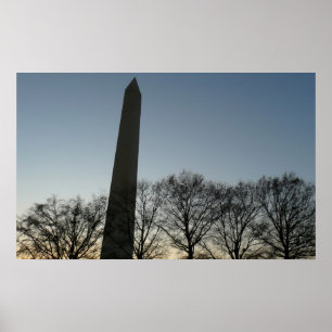 Póster Monumento a Washington no inverno II