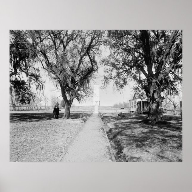 Póster Monumento de Chalmette: 1900 (Frente)