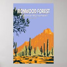 Monumento Nacional da Floresta de Ironwood Arizona