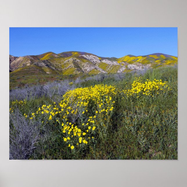 Póster Monumento Nacional do Carrizo Plain (Frente)